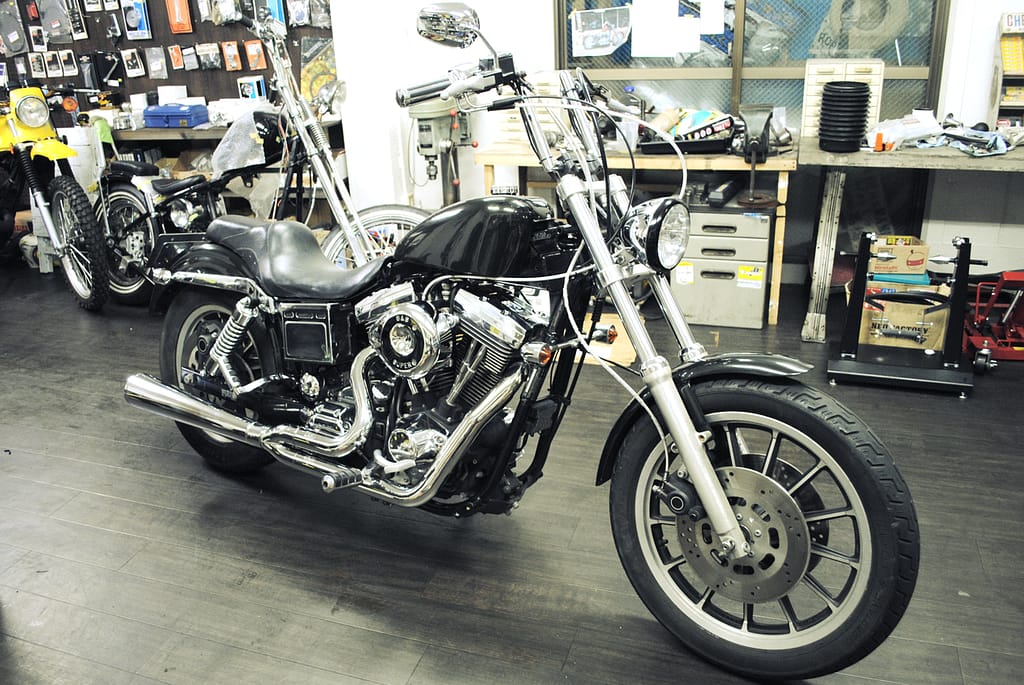 DYNA