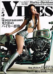 2014.4_vibes_page